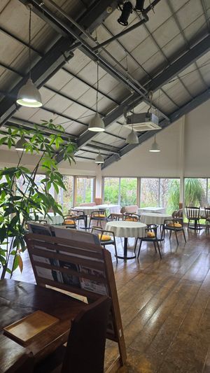  at Zeal in Miyazaki