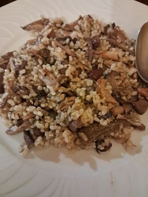 Arroz con setas at Habanita in Sevilla