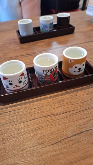 Sake flight at Vegan Sushi Tokyo in Tokyo