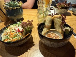 Papaya Salad and Spring Rolls  at Mandala in Bonn