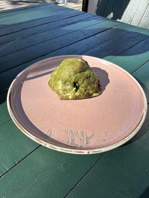   at Velicious Café in North Narrabeen