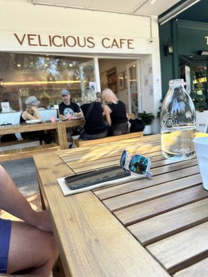 Outdoor, dog friendly dining in the shade  at Velicious Café in North Narrabeen