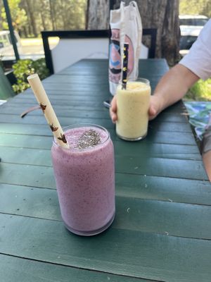 The only fully vegan cafe in northern beaches!! Amazing!!!  at Velicious Café in North Narrabeen