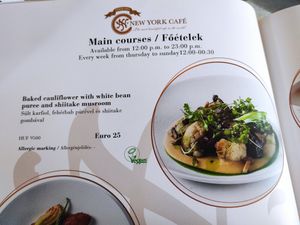  at New York Cafe Budapest in Budapest