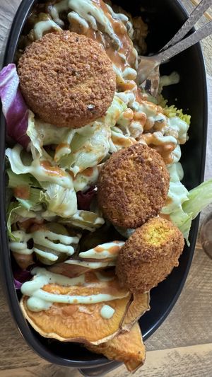   at Gustav Grün in Kassel