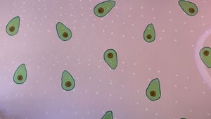   at Gustav Grün in Kassel