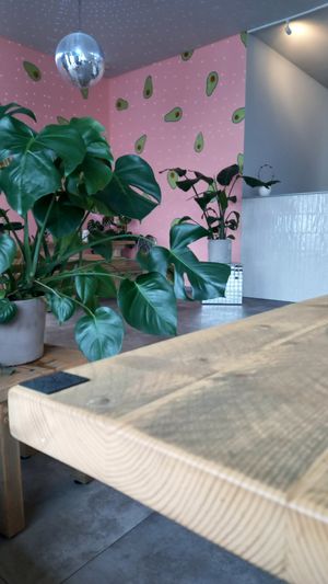 interior at Gustav Grün in Kassel