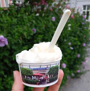 Vegan coconut icecream at Eissalon Salek in Wiener Neustadt