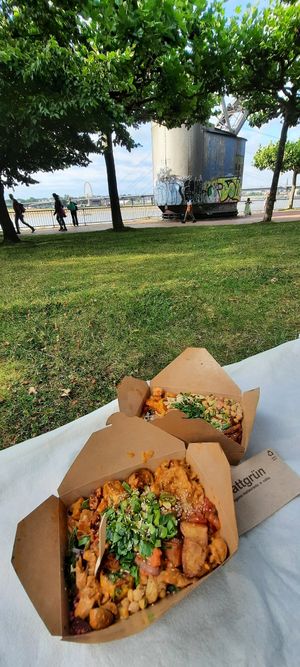 Gerichte zum Mitnehmen, am Rhein besonders schön 😊 at Sattgrün - Hafen in Dusseldorf