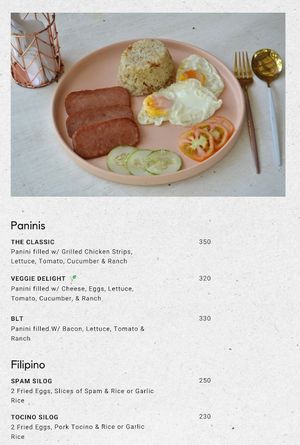 No vegan options on the menu; all paninis are based on egg/dairy at El Flamenco Cafe  in San Juan Siquijor