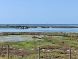 Entorno con flamencos at Delta Hotel in Deltebre