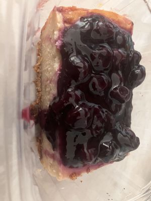   at EarthFed in Savannah