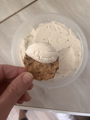   at EarthFed in Savannah