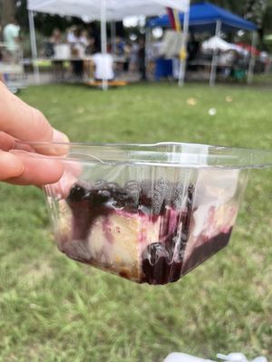 Blueberry cheesecake  at EarthFed in Savannah