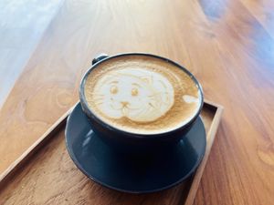 Meow !  at V-Tribe in Chiang Mai