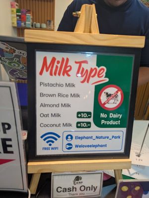  at V-Tribe in Chiang Mai