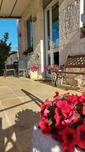  at Pasticceria Dolce Antico in Cisternino