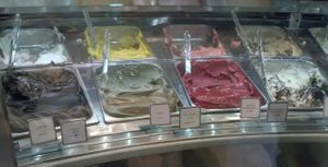 non-dairy section at Venchi in Venice