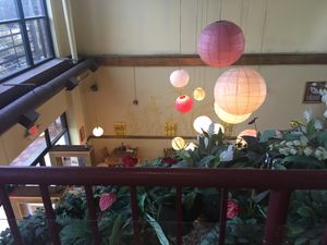 Interior at Loving Hut in Sandy Springs