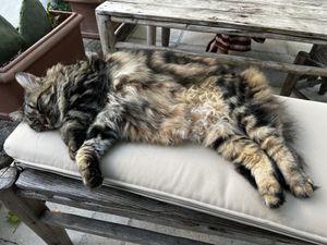   at L'Ortale Otranto in Otranto