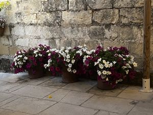   at L'Ortale Otranto in Otranto