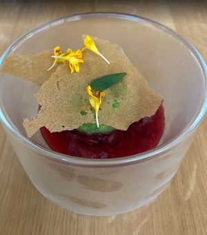  at Restaurant Pilgrim in Paris