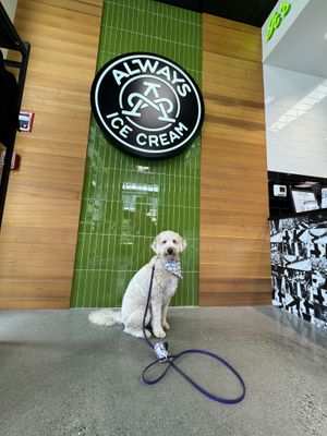   at Always Ice Cream in Baltimore