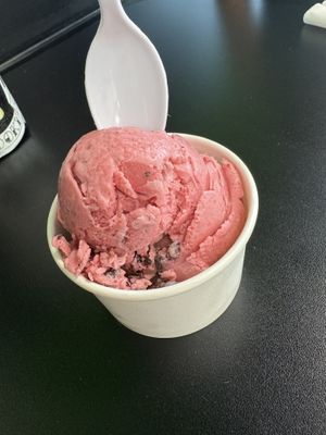 Raspberry chocolate chip   at Always Ice Cream in Baltimore