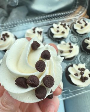 Mini chocolate chip cupcakes with vanilla frosting   at Ruby Baking Co in Rockwall