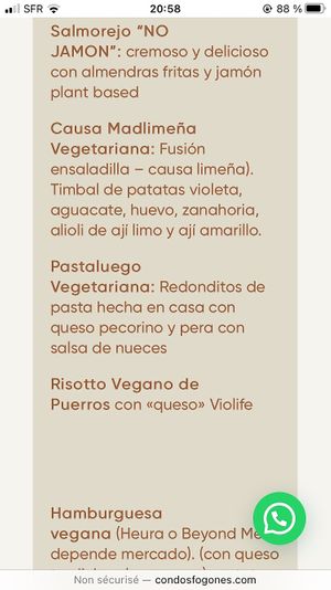 Vegan menu at Con 2 Fogones in Madrid