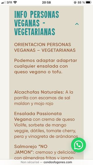 Vegan menu at Con 2 Fogones in Madrid