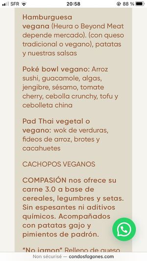 Vegan menu at Con 2 Fogones in Madrid