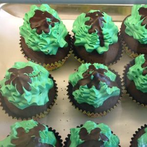 Cupcakes at Sweet to Lick in Williston Park