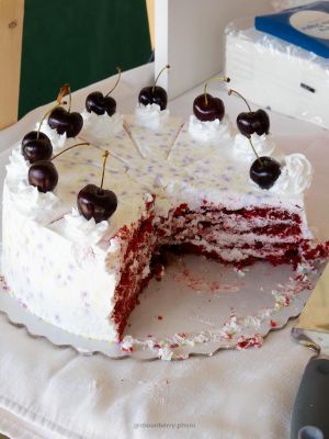  at Porto Vegan Market in Porto