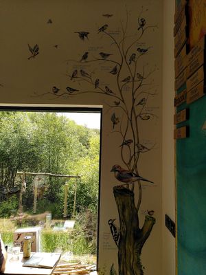 Beautiful bird mural (June 2024) at Caffi Tŷ Maenan in Machynlleth