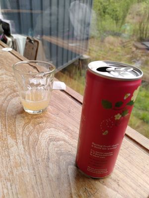 Another fizzy drink (April 2025) at Caffi Tŷ Maenan in Machynlleth