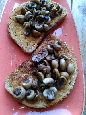 Mushrooms on toast (June 2025) at Caffi Tŷ Maenan in Machynlleth