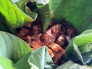 Mushrooms and Tofu in the Suban Ik Fusion Saucee  at Humaya Restaurante in Panajachel