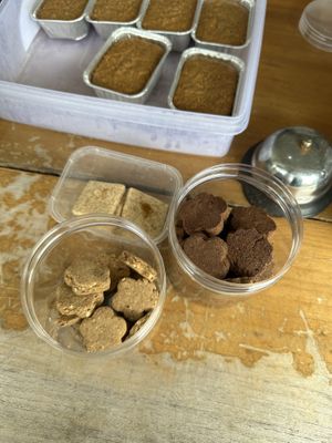 Cookie tasters   at Kenoa Gluten Free Bakery  in Malang