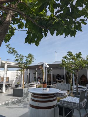 Garden at Anhydrous in Santorini