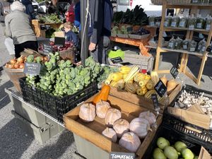   at Bar Harbor's Eden Farmers' Market in Bar Harbor