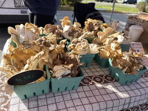   at Bar Harbor's Eden Farmers' Market in Bar Harbor