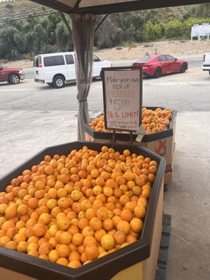 Oranges  at Francisco's Fruit Stand in Fillmore