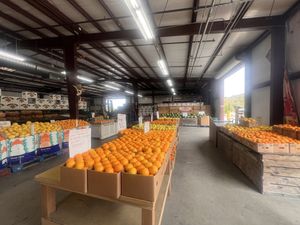 The main market   at Francisco's Fruit Stand in Fillmore