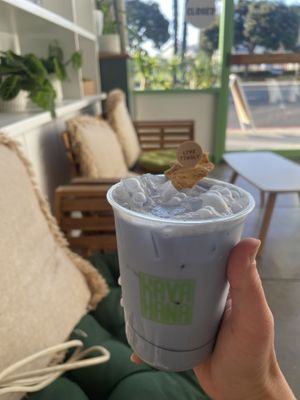   at Kavahava in Santa Monica