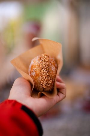 Bola de Berlim the “Ferrero Rocher”😎🔥 at CAOS - O Futuro É Vegetal in Lisbon