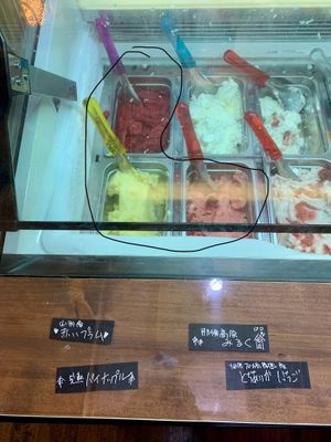 Vegan options are circled   at Cafe Gelato Majo no Mori - カフェジェラートまじょの森 in Nasu