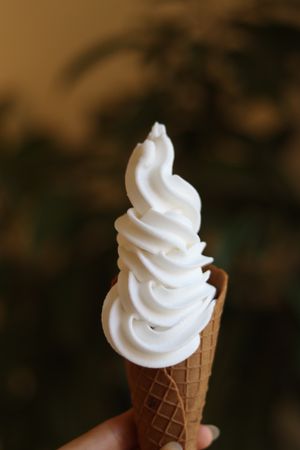 Keto soft serve and gluten free cone, both dairy free   at KAJU in Cairo