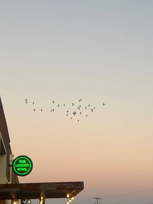 store sign at The Loaded Bowl in Oklahoma City