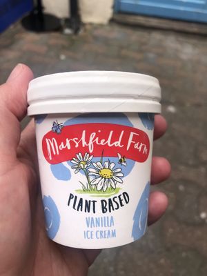 Vegan ice cream   at Roasted and Toasted in Lyme Regis